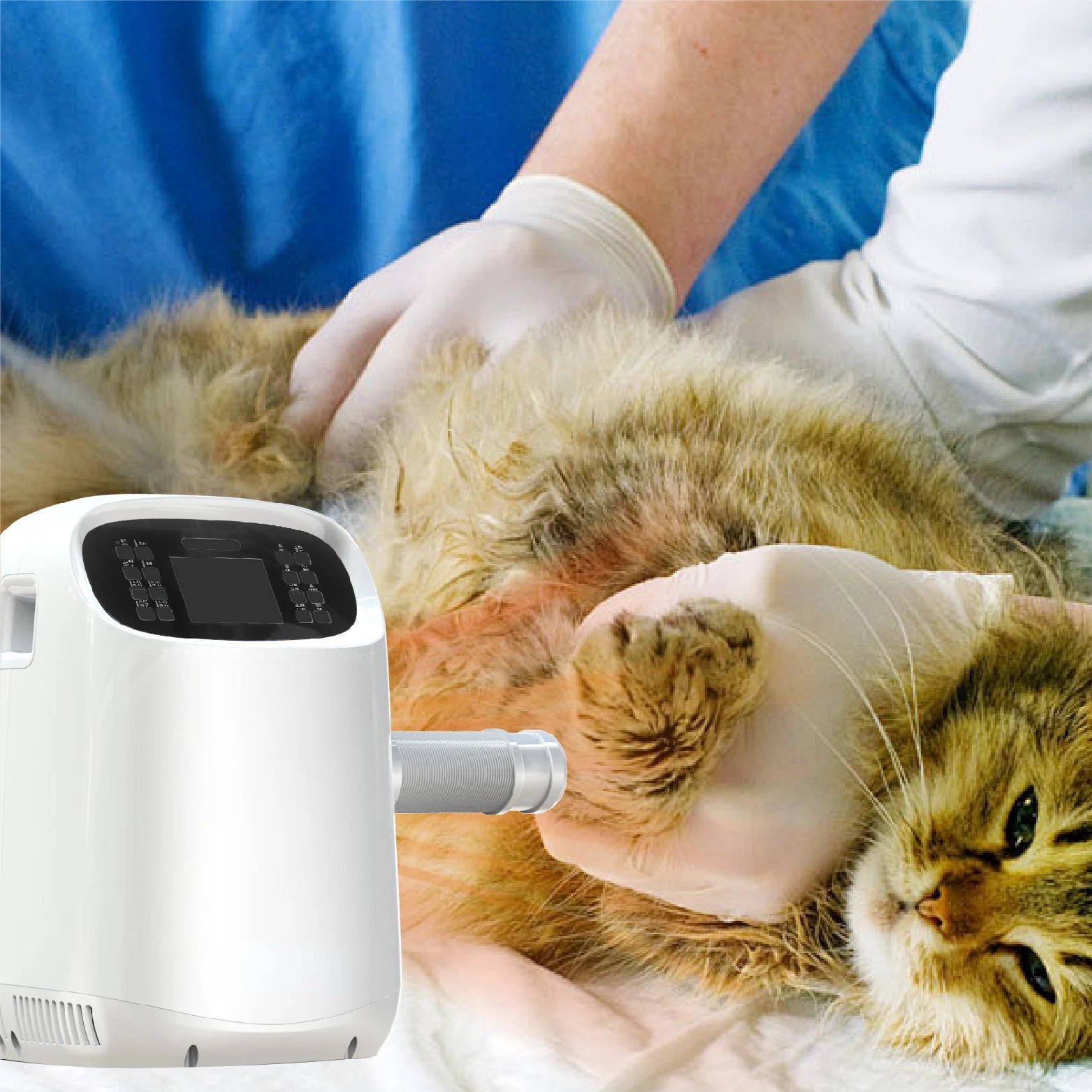 Pet Automatic Air Warming Pad Machine For Pet Healthcare
