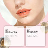 Lip Scrub for Daily Moisturizing